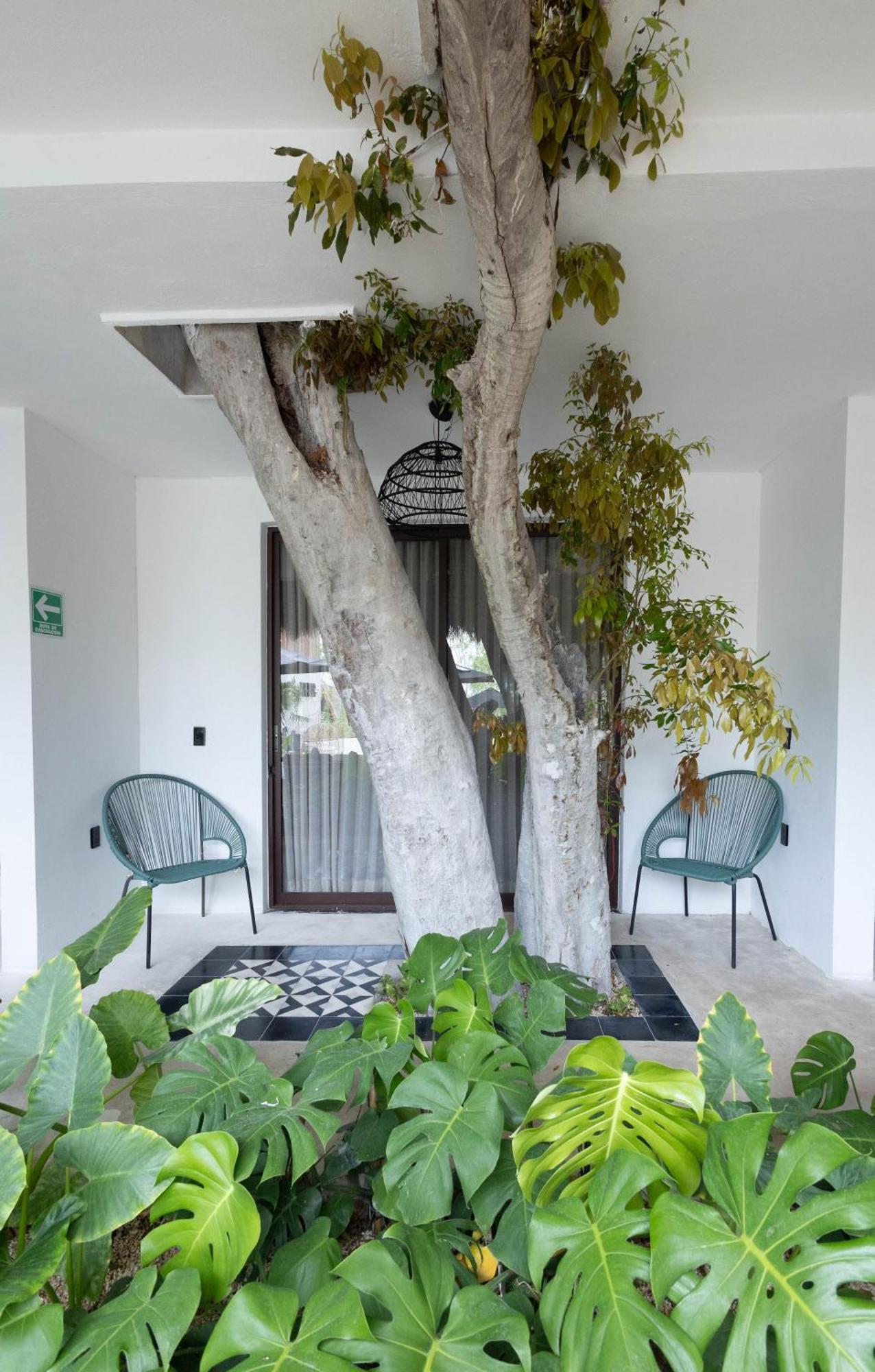Hotel Sun Ha Bacalar Exterior foto